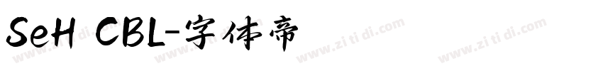 SeH CBL字体转换